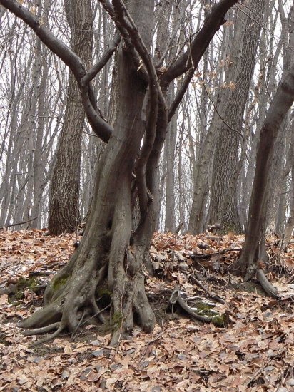 ked chýbali slnečné lúče