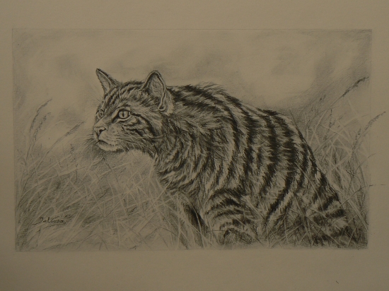 zaujatá lovom-ceruza