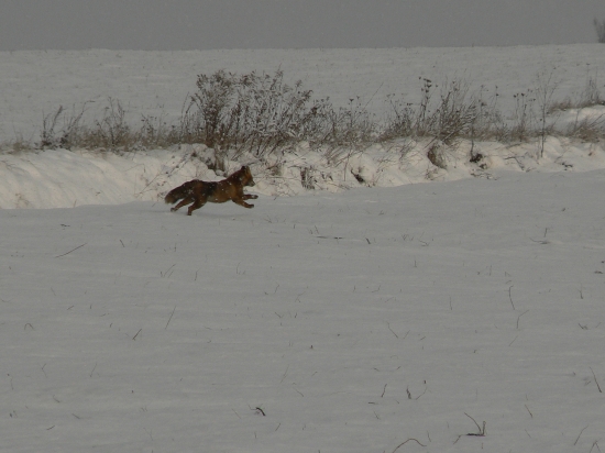 len sa za ňou zaprášilo!