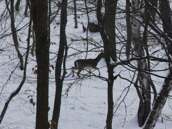 dnešný expresný záber