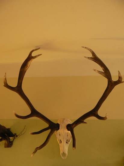 nepravidelný osemnástorák