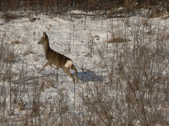narušená rovnováha
