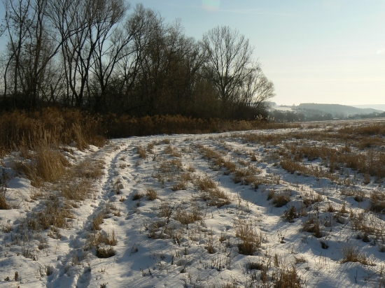 dočasný spánok prírody