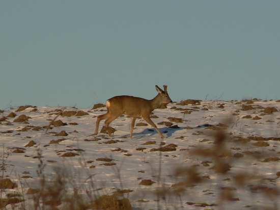 vydal sa svojou trasou