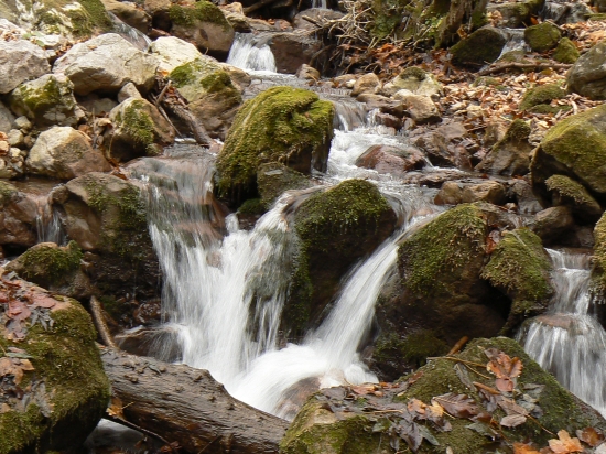 osvieženie na dosah