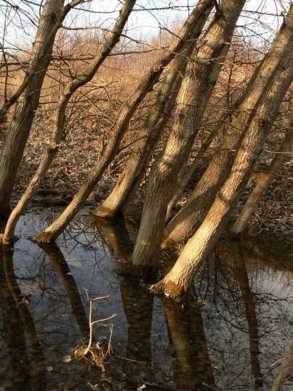 kúsok z nášho kraja