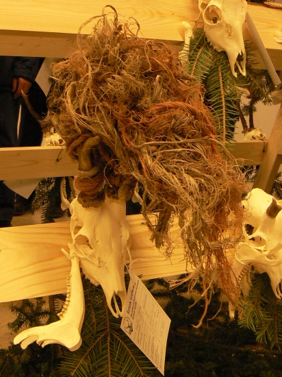 chovateľská poľovn. výstava Košice-2012