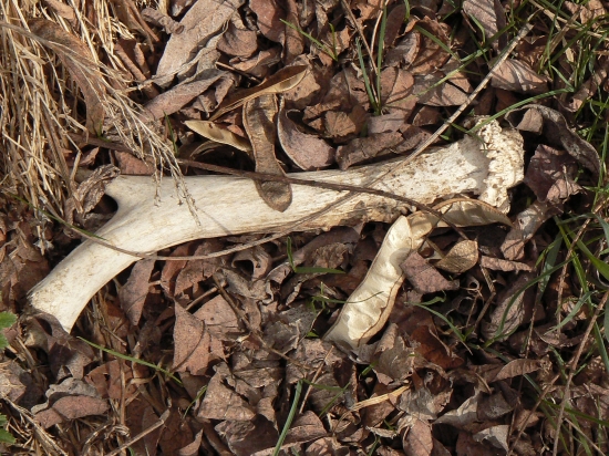 potešil,aj keď nebol úplný