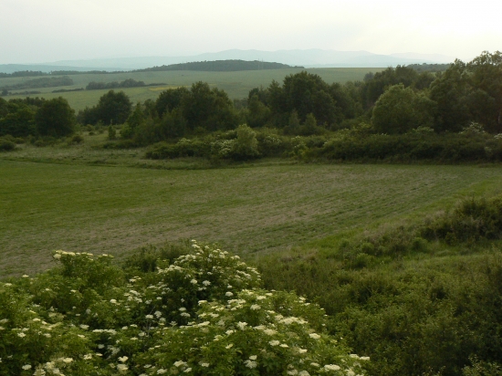 kúsok prírody z rodnej...