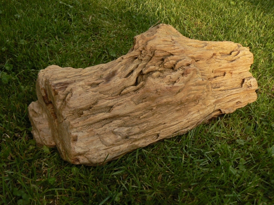 Fotohádanka-čo to je?