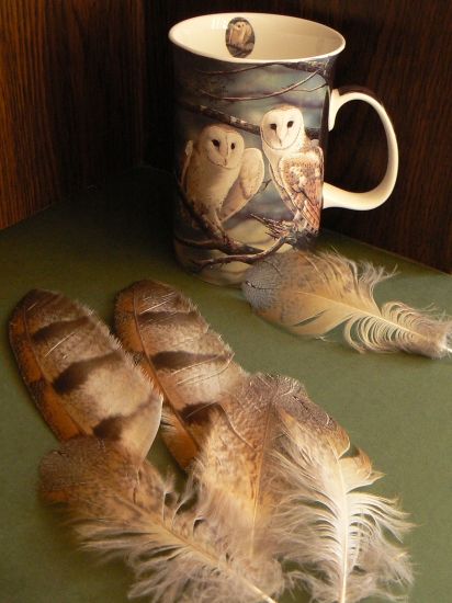 zátišie-plamienka driemavá