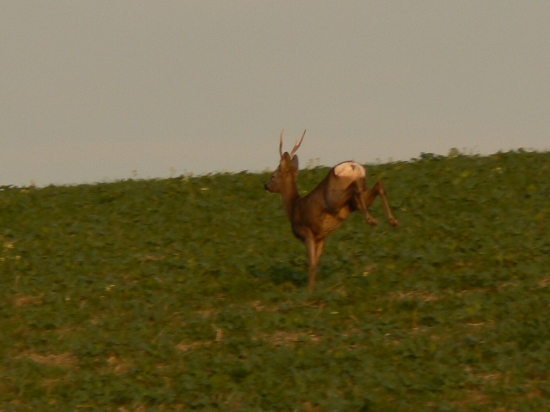 z iného uhla  pohľadu