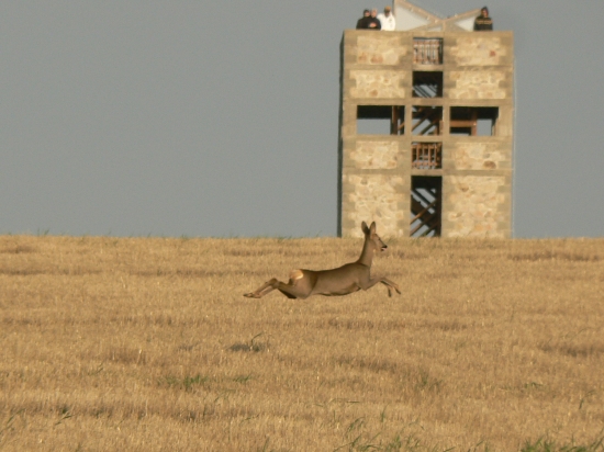 letovka pred očami divákov