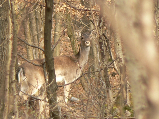 dnešné stretnutie s danielkou