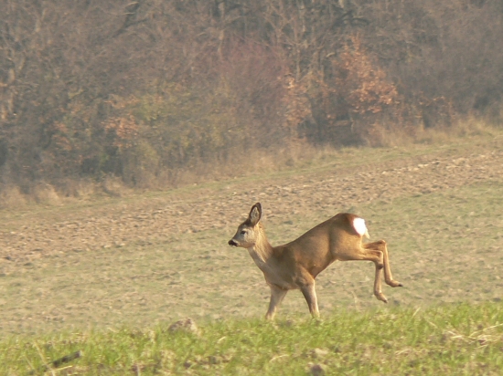 čo tak vyhodiť si z