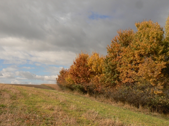 z jesennej prechádzky