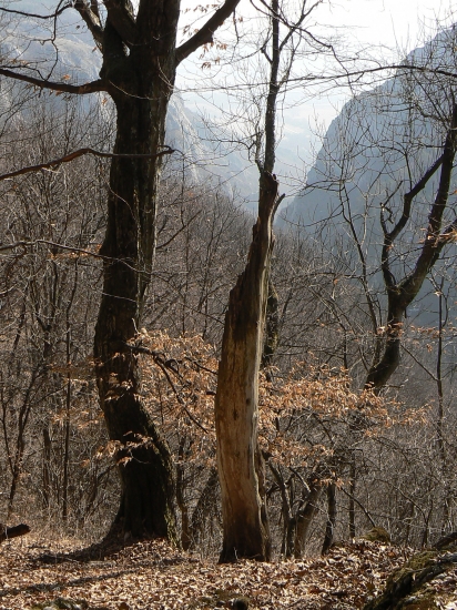 pohľad na tiesňavu