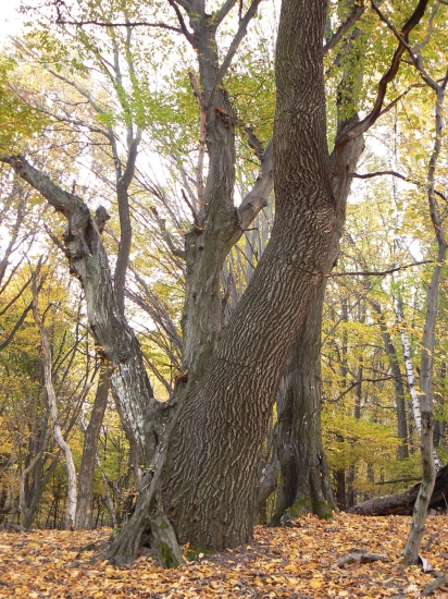 ...obľúbeným miestom