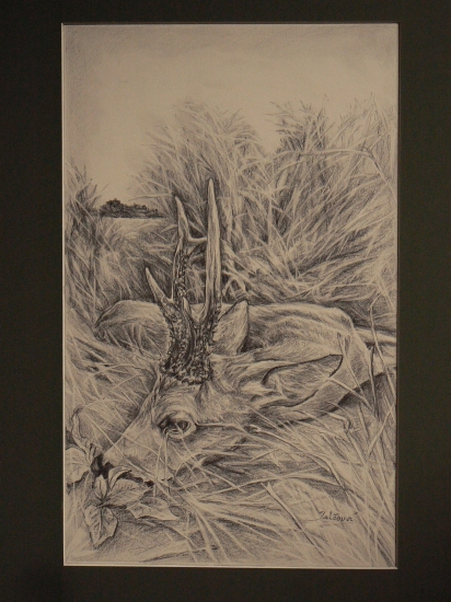 úlovok lichnovského srnca-ceruza A3