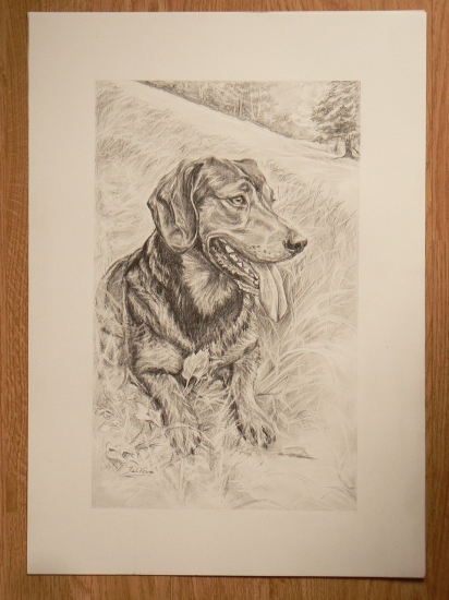 portrétik-ceruza A3