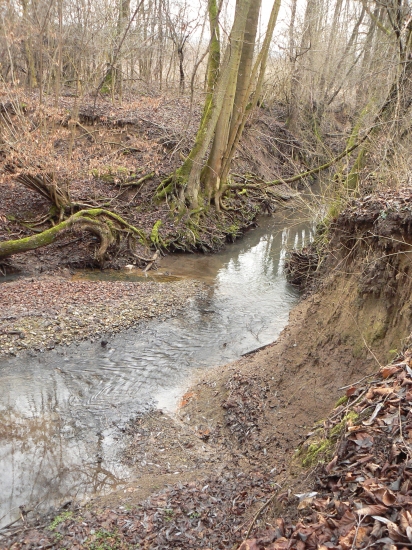 pozdlž toku Trstianky-január 2014