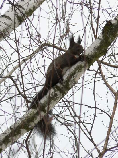 sedím na konári a je mi dobre!