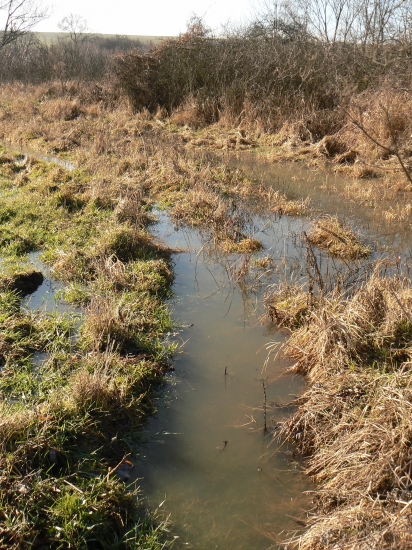 februárova príroda