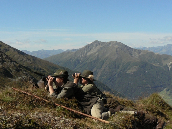 pozorovanie svišťa-archív