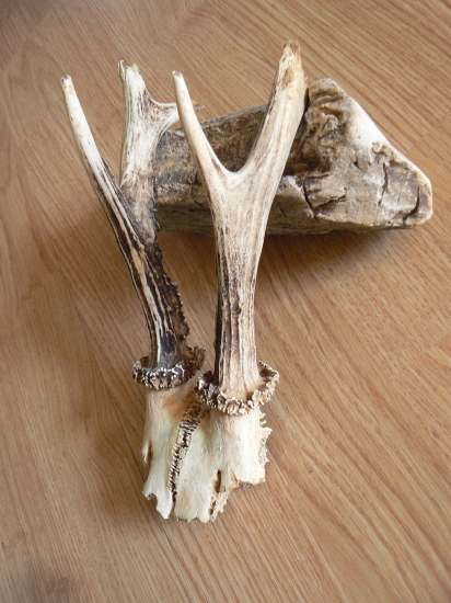 škoda že sa nenašiel skôr..