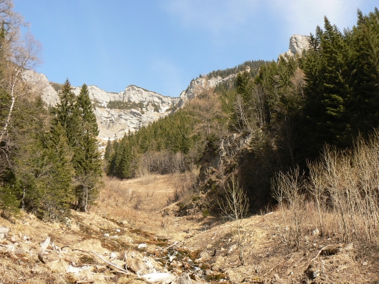 v lone tatranskej prírody