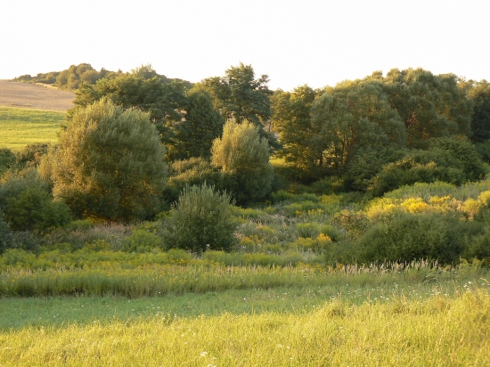 dokonalý úkkryt zveri