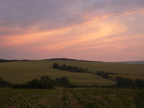 príroda v podvečer
