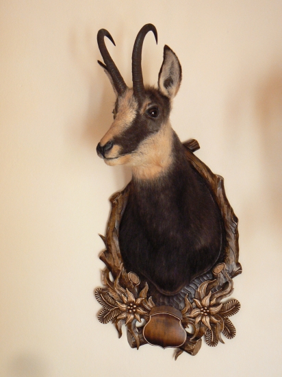 kamzo dostal podložku