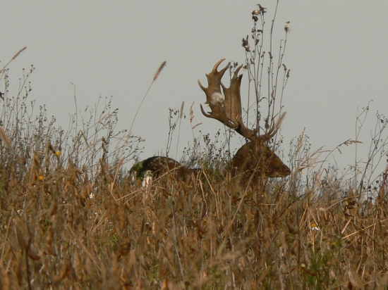momentka na ceste domov