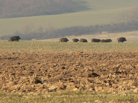 dnes mali naponáhlo..