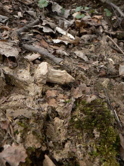 pozostatky-ostala z neho len malá časť
