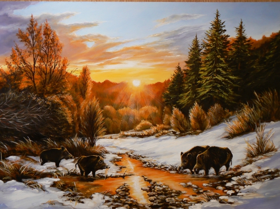 ráno s diviakmi-olej