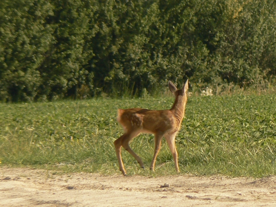 tak už sa otoč!