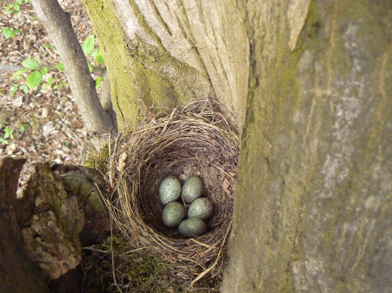 náhľad do súkromia