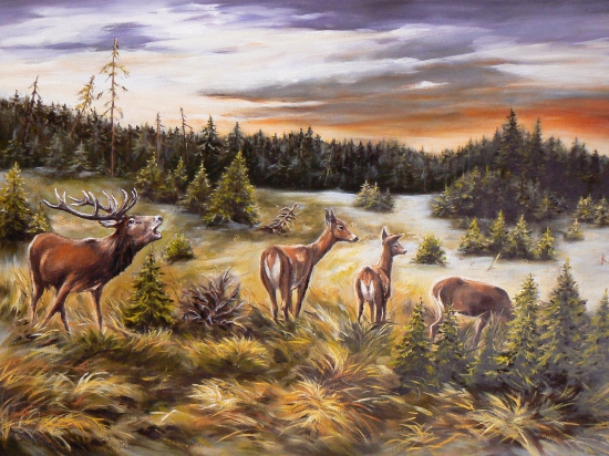 ráno pod lesom-olej 70x50