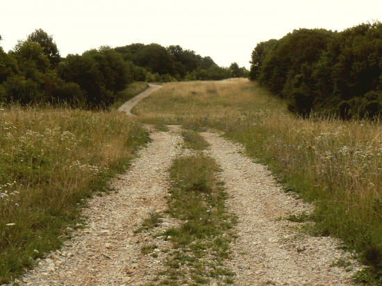 cestička