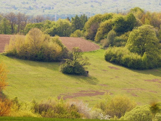 aprílová