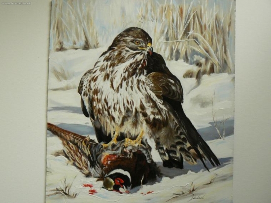 myšiak s bažantom-olej