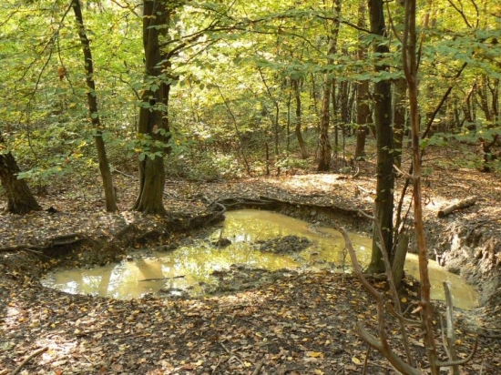 bahnisko