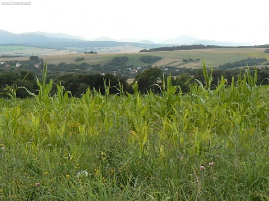 moj kraj
