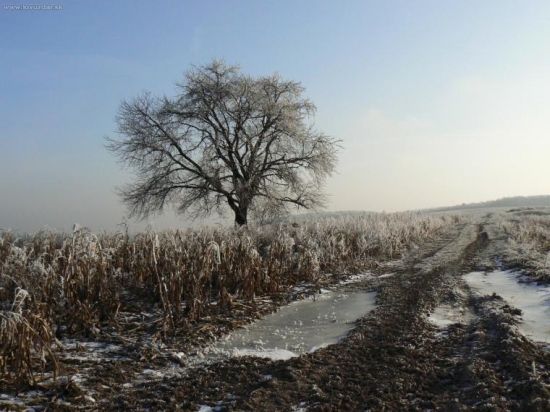 zimná atmosféra