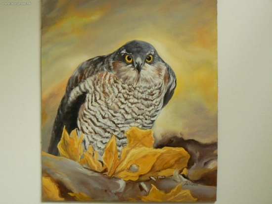 jastrab krahulec-olej