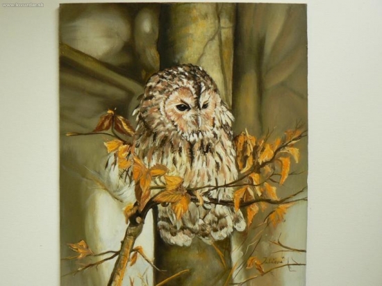 sovička-olej-z mojich prvých