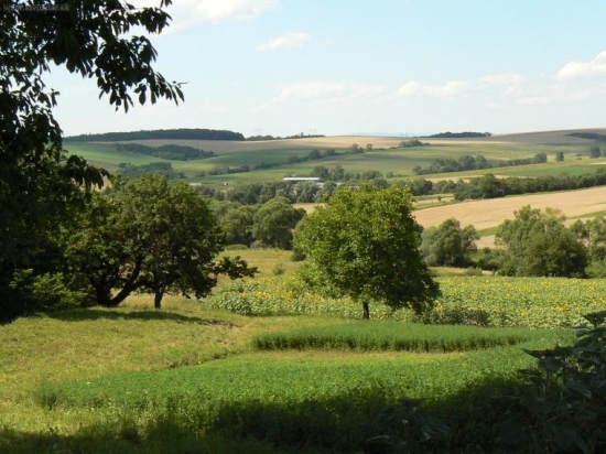 výhľad