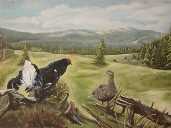 tetrov holniak-olej 50x65cm